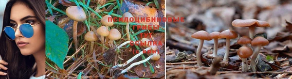 дурь Балабаново