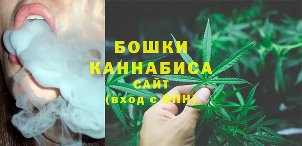 СК Михайлов