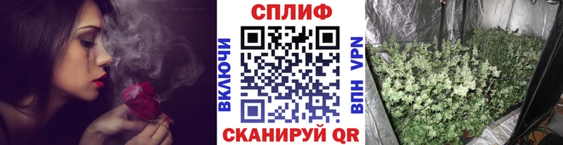 Шишки марихуана Amnesia  MEGA как войти  Ершов  закладка 